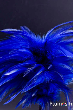 Plumet coq avec anneau -  hauteur 20 cm - bleu